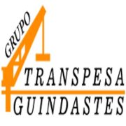 (c) Transpesaguindastes.com.br
